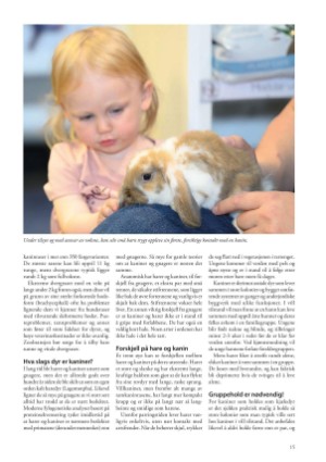 petscandinavia-20240305_001_00_00_015.pdf