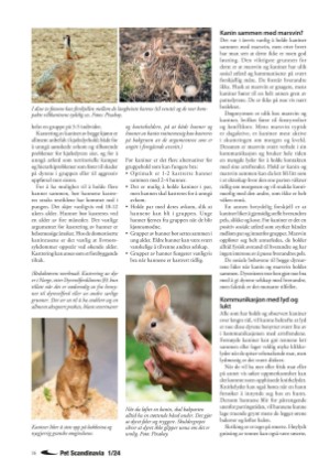 petscandinavia-20240305_001_00_00_016.pdf