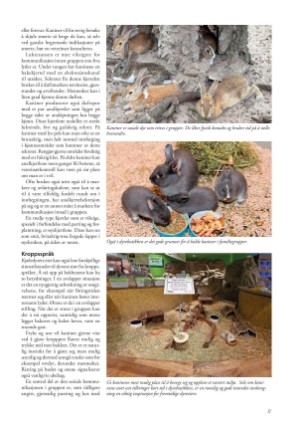 petscandinavia-20240305_001_00_00_017.pdf
