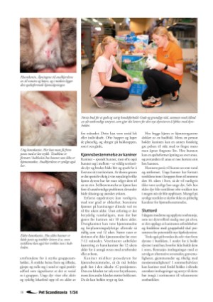 petscandinavia-20240305_001_00_00_018.pdf