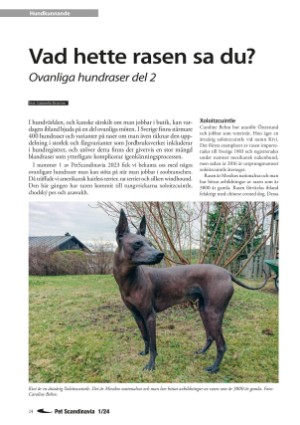 petscandinavia-20240305_001_00_00_024.pdf