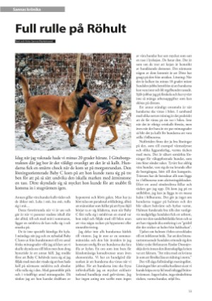 petscandinavia-20240305_001_00_00_033.pdf