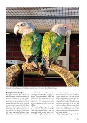 petscandinavia-20240305_001_00_00_039.pdf