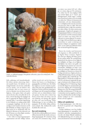 petscandinavia-20240305_001_00_00_041.pdf