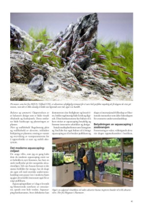 petscandinavia-20240615_002_00_00_041.pdf