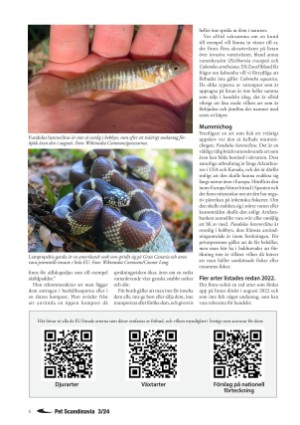 petscandinavia-20240915_003_00_00_006.pdf