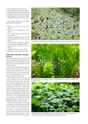 petscandinavia-20240915_003_00_00_007.pdf