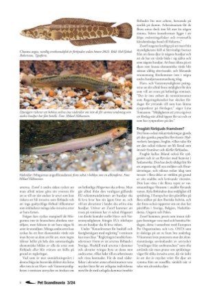 petscandinavia-20240915_003_00_00_008.pdf