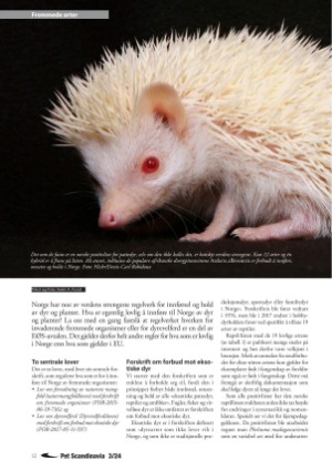 petscandinavia-20240915_003_00_00_012.pdf