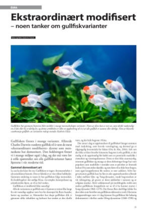 petscandinavia-20240915_003_00_00_021.pdf