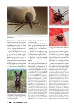 petscandinavia-20240915_003_00_00_026.pdf