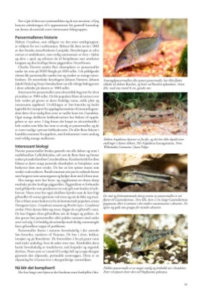 petscandinavia-20240915_003_00_00_039.pdf