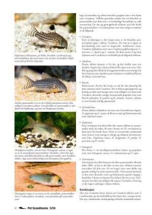 petscandinavia-20240915_003_00_00_040.pdf