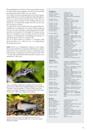 petscandinavia-20240915_003_00_00_041.pdf