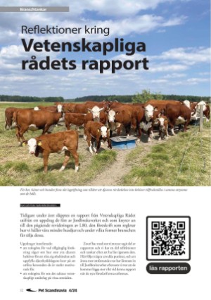 petscandinavia-20241205_004_00_00_012.pdf