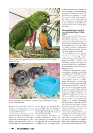 petscandinavia-20241205_004_00_00_014.pdf