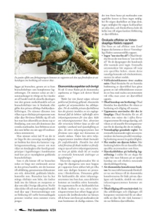 petscandinavia-20241205_004_00_00_016.pdf