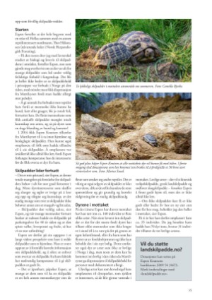 petscandinavia-20241205_004_00_00_035.pdf
