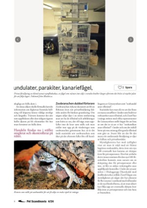 petscandinavia-20250315_001_00_00_006.pdf