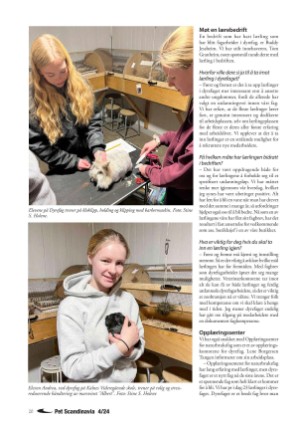 petscandinavia-20250315_001_00_00_020.pdf
