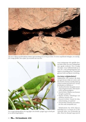 petscandinavia-20250315_001_00_00_026.pdf