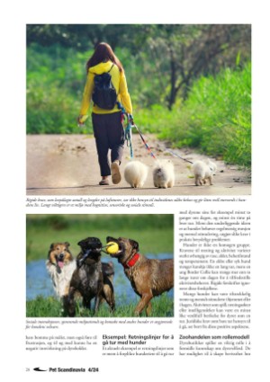 petscandinavia-20250315_001_00_00_028.pdf