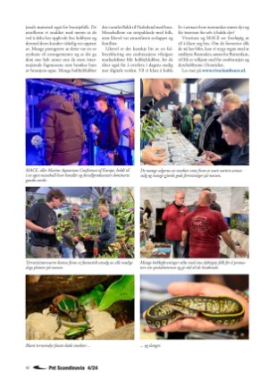 petscandinavia-20250315_001_00_00_040.pdf