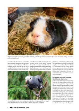 petscandinavia-20250620_002_00_00_006.pdf