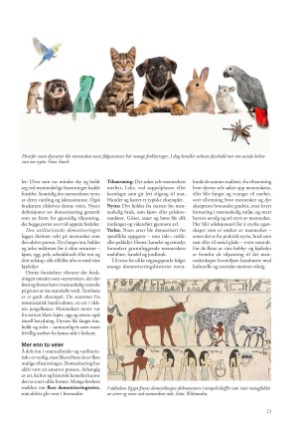 petscandinavia-20250915_003_00_00_023.pdf
