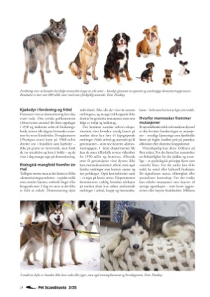 petscandinavia-20250915_003_00_00_024.pdf