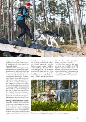 petscandinavia-20250915_003_00_00_033.pdf