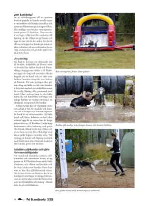 petscandinavia-20250915_003_00_00_034.pdf