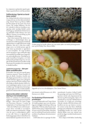 petscandinavia-20250915_003_00_00_041.pdf