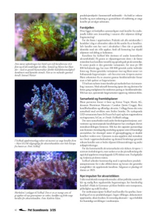petscandinavia-20250915_003_00_00_042.pdf