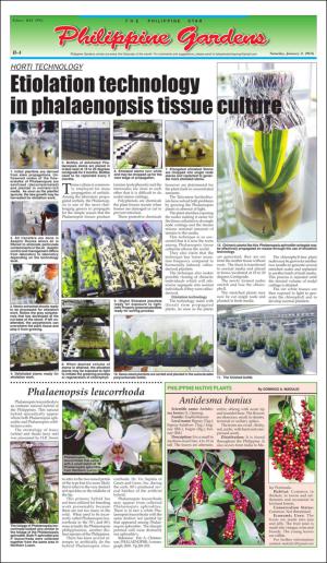 philippinestar_b-20160102_000_00_00_004.pdf