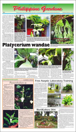 philippinestar_b-20160206_000_00_00_006.pdf