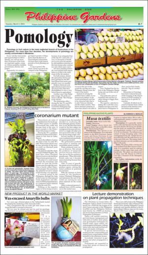 philippinestar_b-20160305_000_00_00_007.pdf