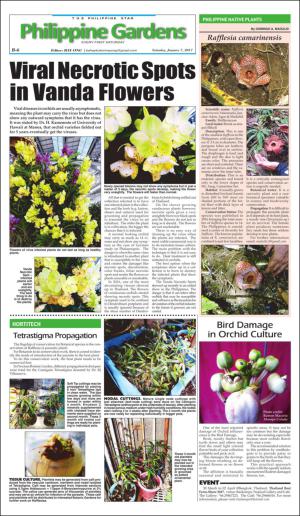 philippinestar_b-20170107_000_00_00_006.pdf