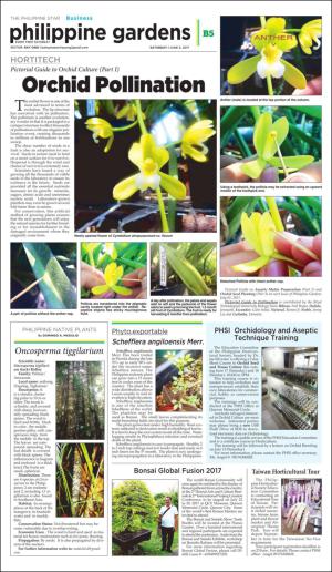 philippinestar_b-20170603_000_00_00_005.pdf