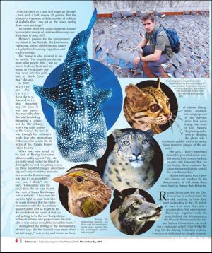 philippinestar_j-20151122_000_00_00_004.pdf