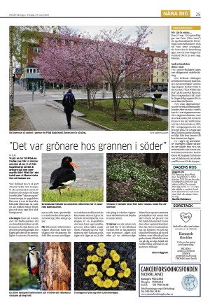 piteatidningen-20220527_000_00_00_025.pdf