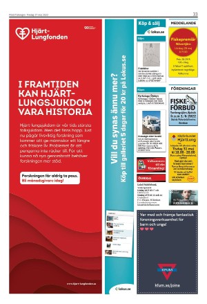 piteatidningen-20220527_000_00_00_033.pdf