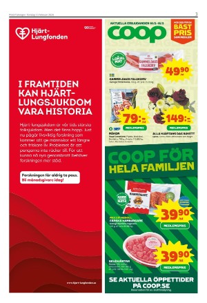 piteatidningen-20250213_000_00_00_003.pdf