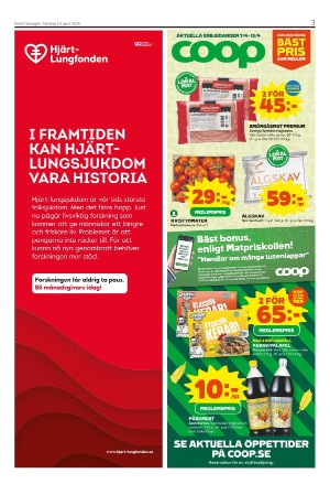 piteatidningen-20250410_000_00_00_003.pdf