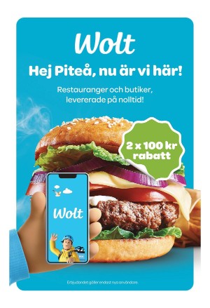 piteatidningen-20250410_000_00_00_005.pdf