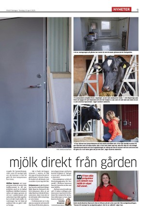 piteatidningen-20250410_000_00_00_009.pdf