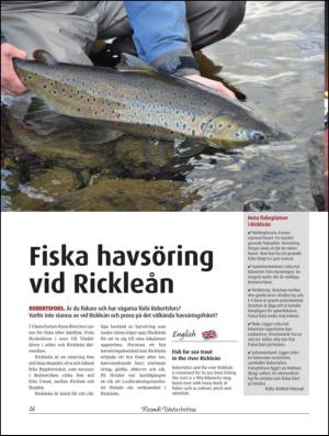 resmalvasterbotten-20130701_000_00_00_026.pdf