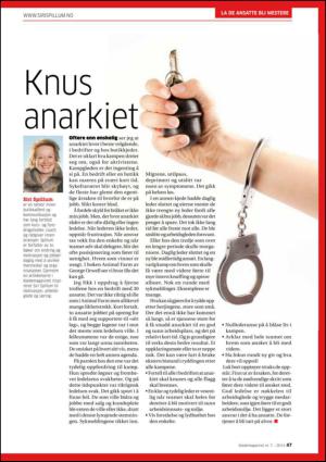 retailmagasinet-20131010_007_00_00_047.pdf