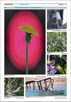 romerikesblad-20160618_000_00_00_017.pdf