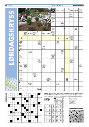 romerikesblad-20250621_000_00_00_054.pdf